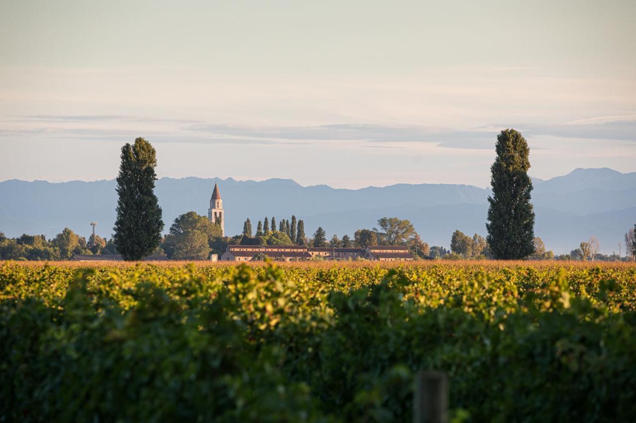 Agriturismo Ai Due Leoni Аквилея Экстерьер фото